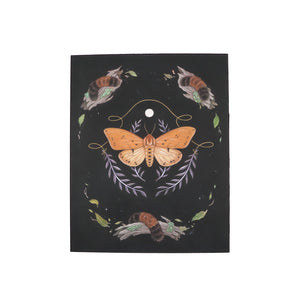 Wooly Bear Caterpillar and Moth Print