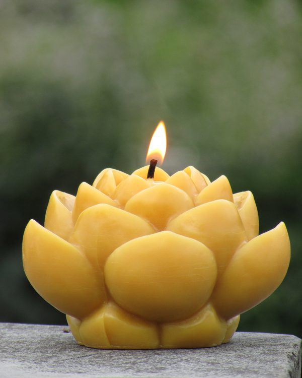 Sunbeam Candles Lotus Flower – Handwork Ithaca's Artist Cooperative