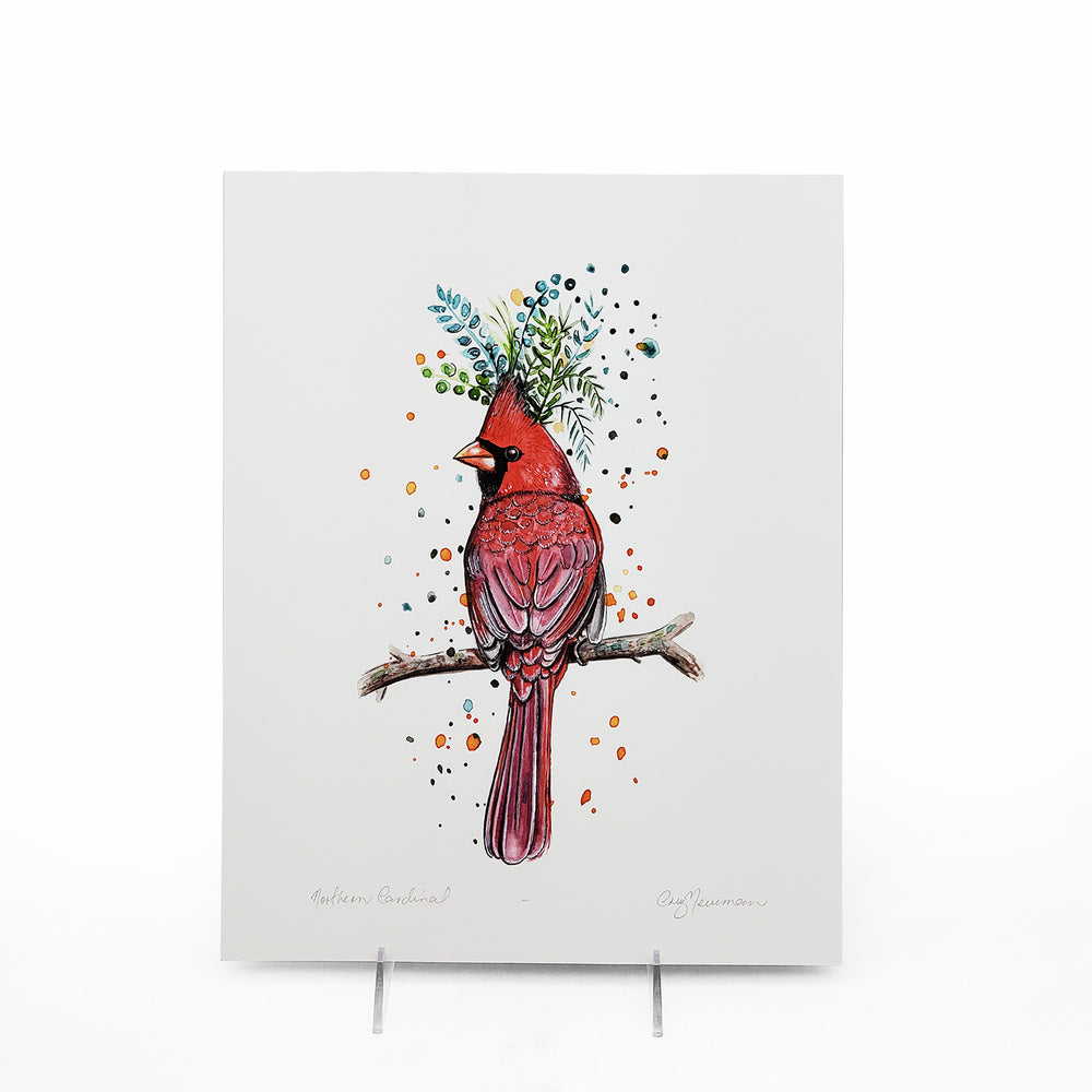 "Northern Cardinal" Print 11 X 14