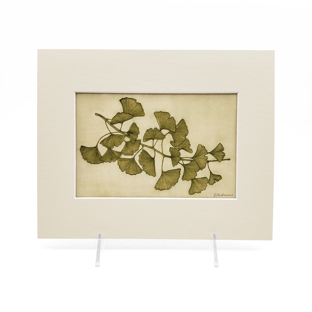 Ginkgo Green Horizontal