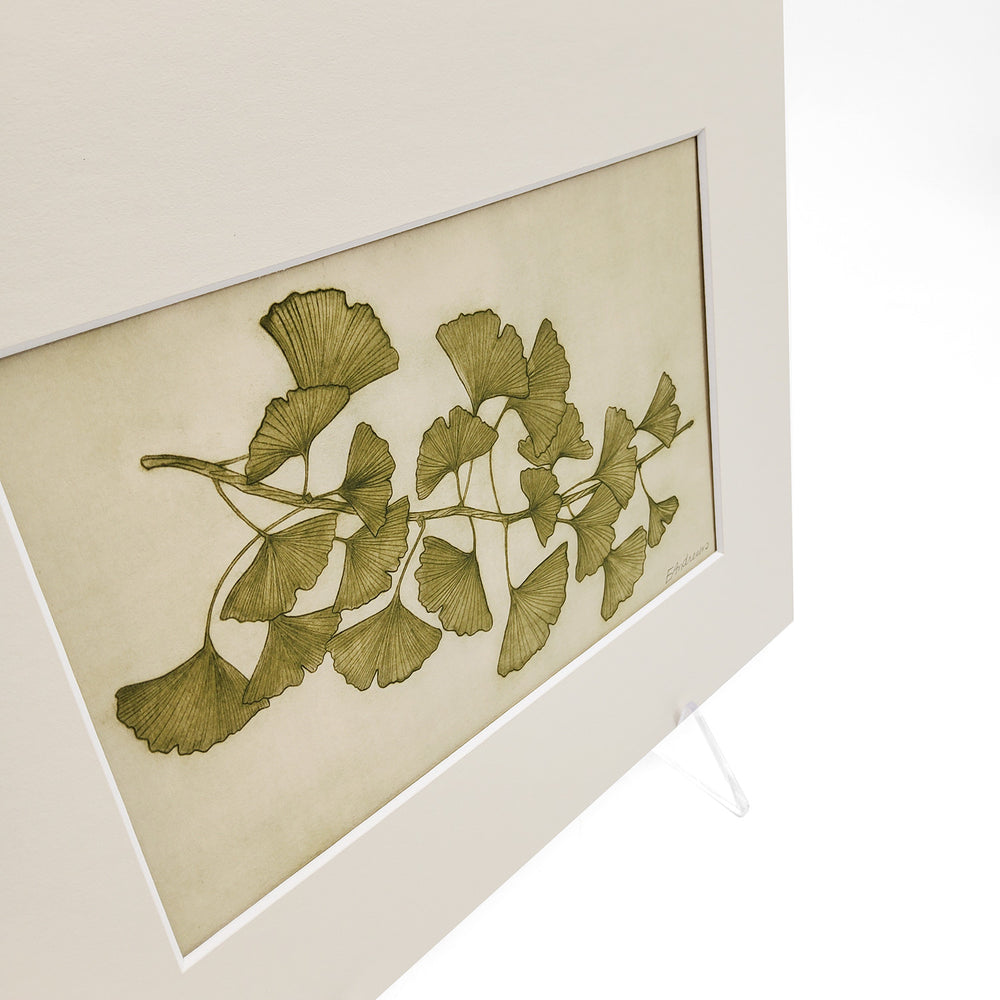 Ginkgo Green Horizontal