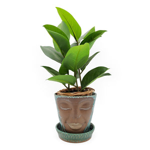 Plant Spirit Teal Carved Ceramic Planter