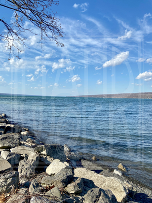 "Cayuga Lake" Print