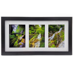 Treman State Park Framed Triptych