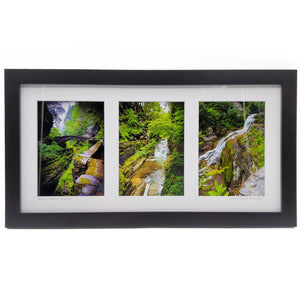 Treman State Park Framed Triptych