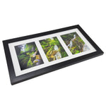 Treman State Park Framed Triptych