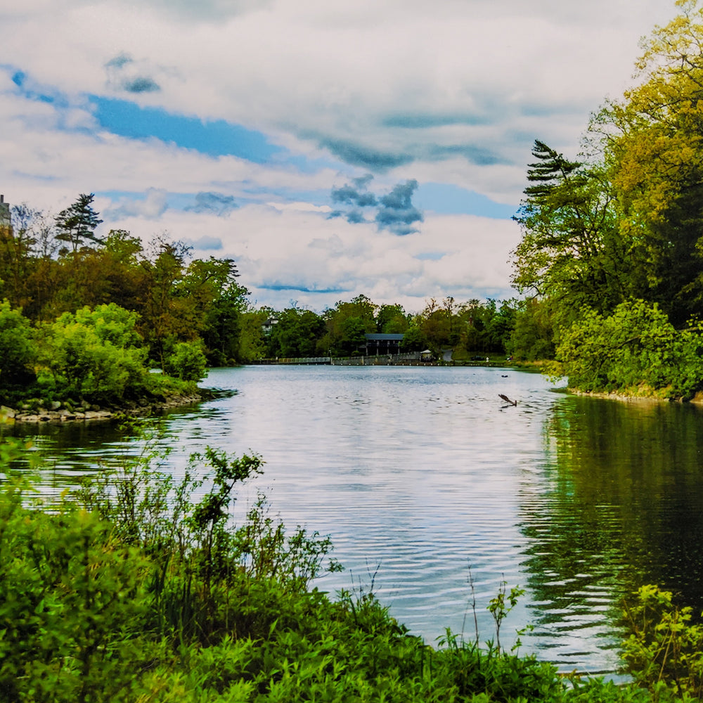 "Beebe Lake" Print 11X14 Matted