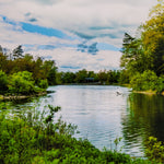"Beebe Lake" Print 11X14 Matted