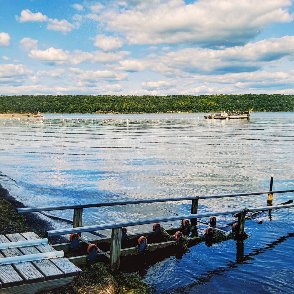 "Cayuga Lake At Taughannock 11X14 Matted