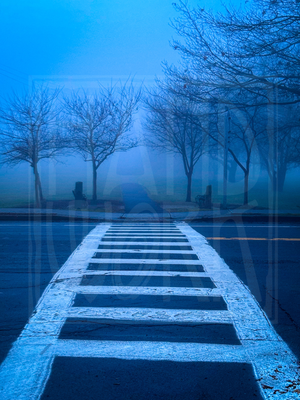 "Into the Fog" Print