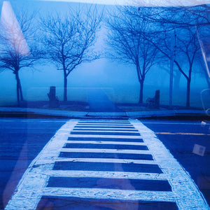 "Into the Fog" Print