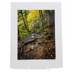 "Rim Trail To Lucifer Falls" Print
