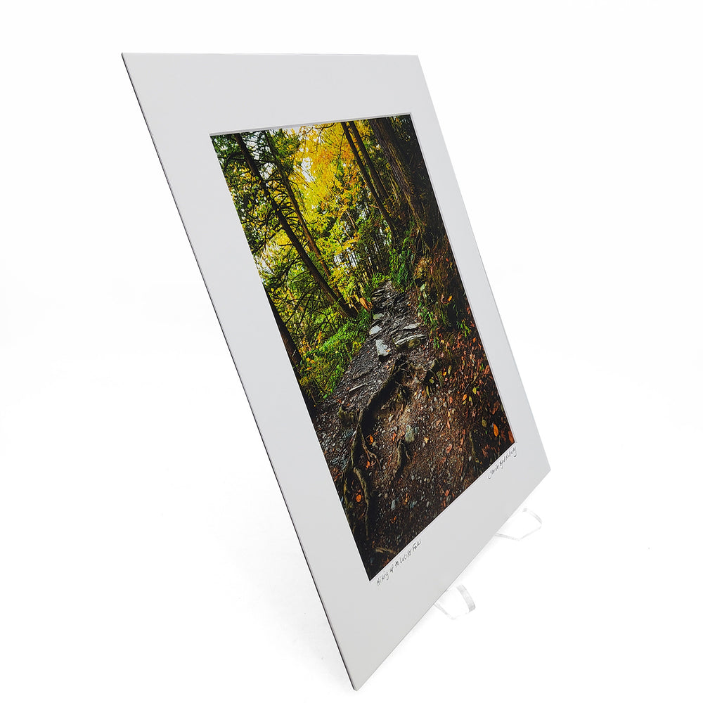 "Rim Trail To Lucifer Falls" Print