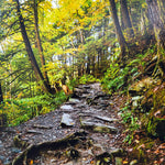 "Rim Trail To Lucifer Falls 11X14 Matted