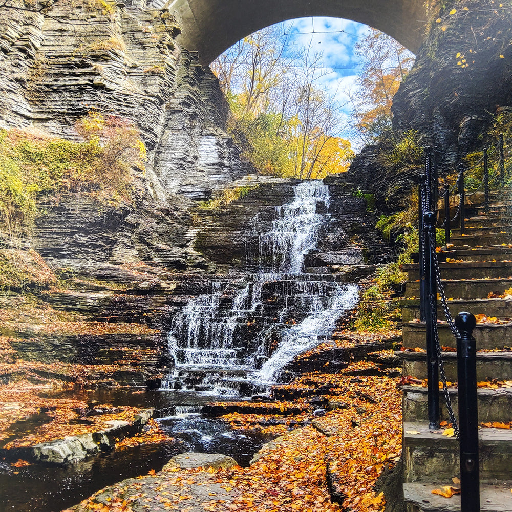 "Stairs At Cascadilla in Au 11X14 Matted