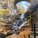 "Stairs At Cascadilla in Au 11X14 Matted