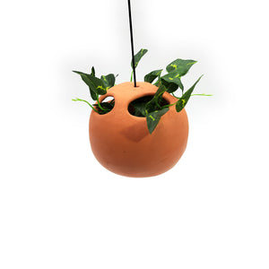 Terracotta Bubble Planter