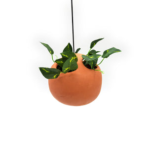 Terracotta Bubble Planter