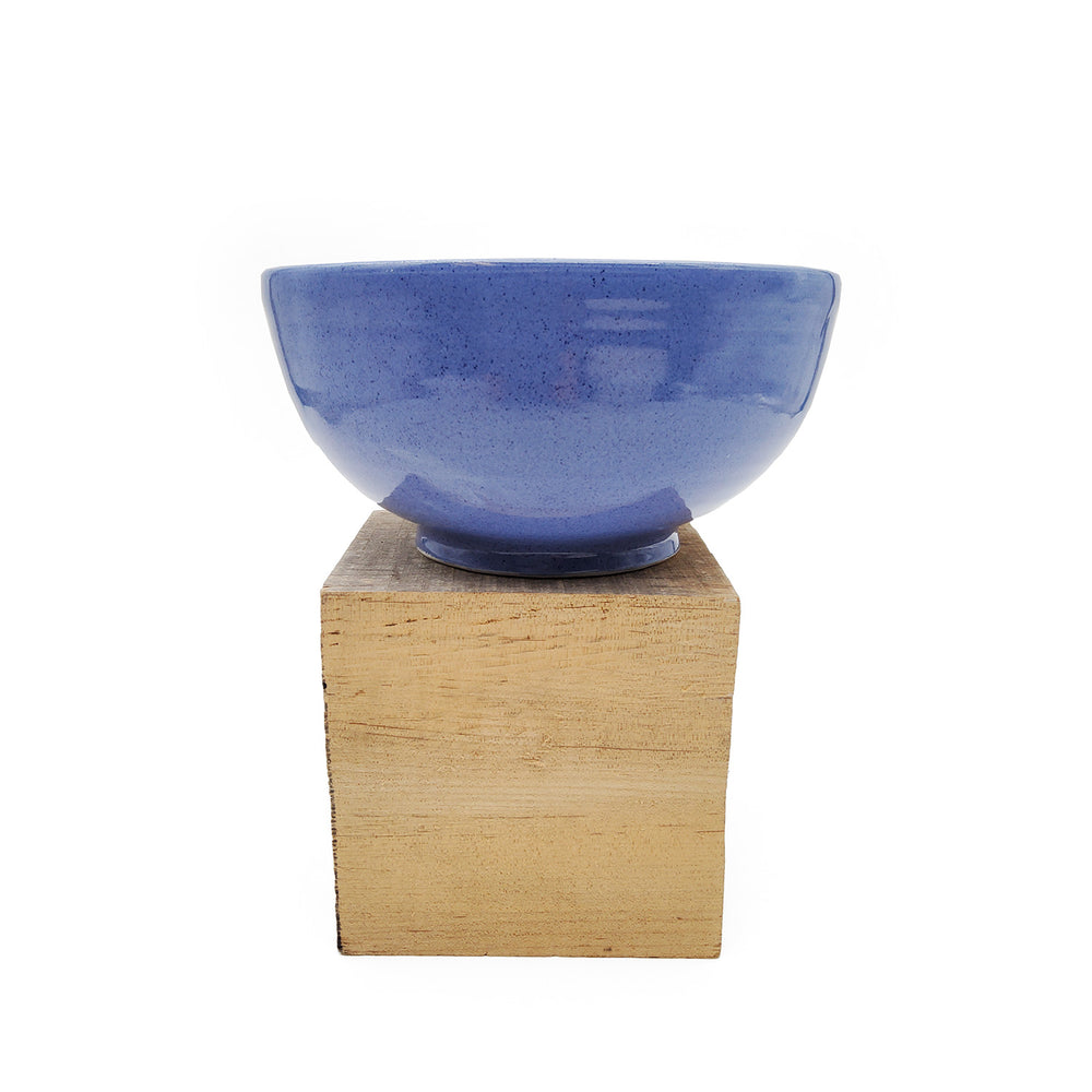 Large Blue Serving Bowl
