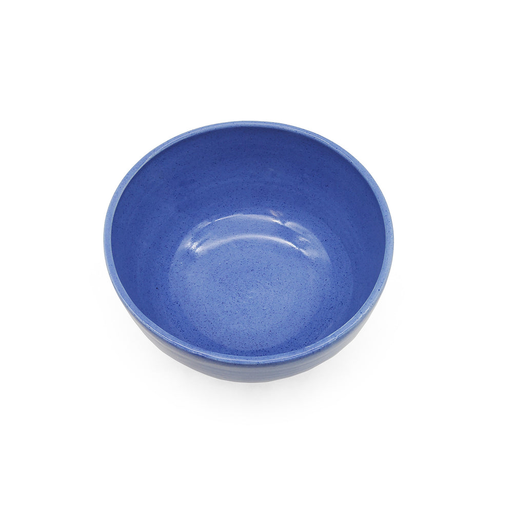Large Blue Serving Bowl