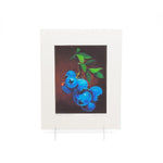 "Ladybug on Blueberries" Giclee Print