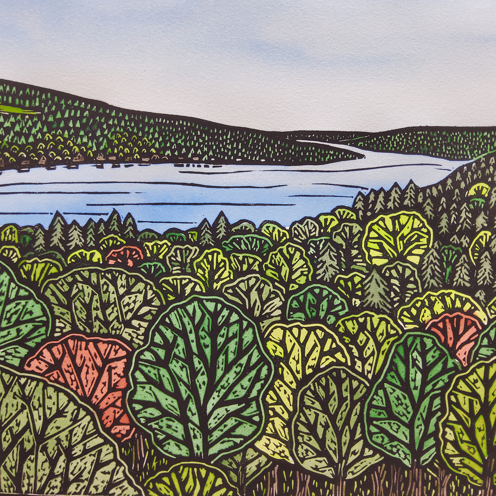 "Cayuga Lake"