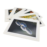 Botanical Card Pack