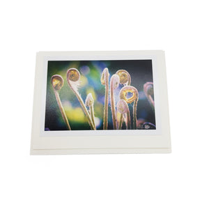 Botanical Card Pack