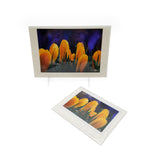 Crocus Single Card Small