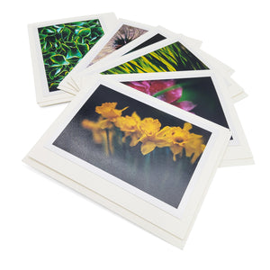 Spring Botanical Card Pack