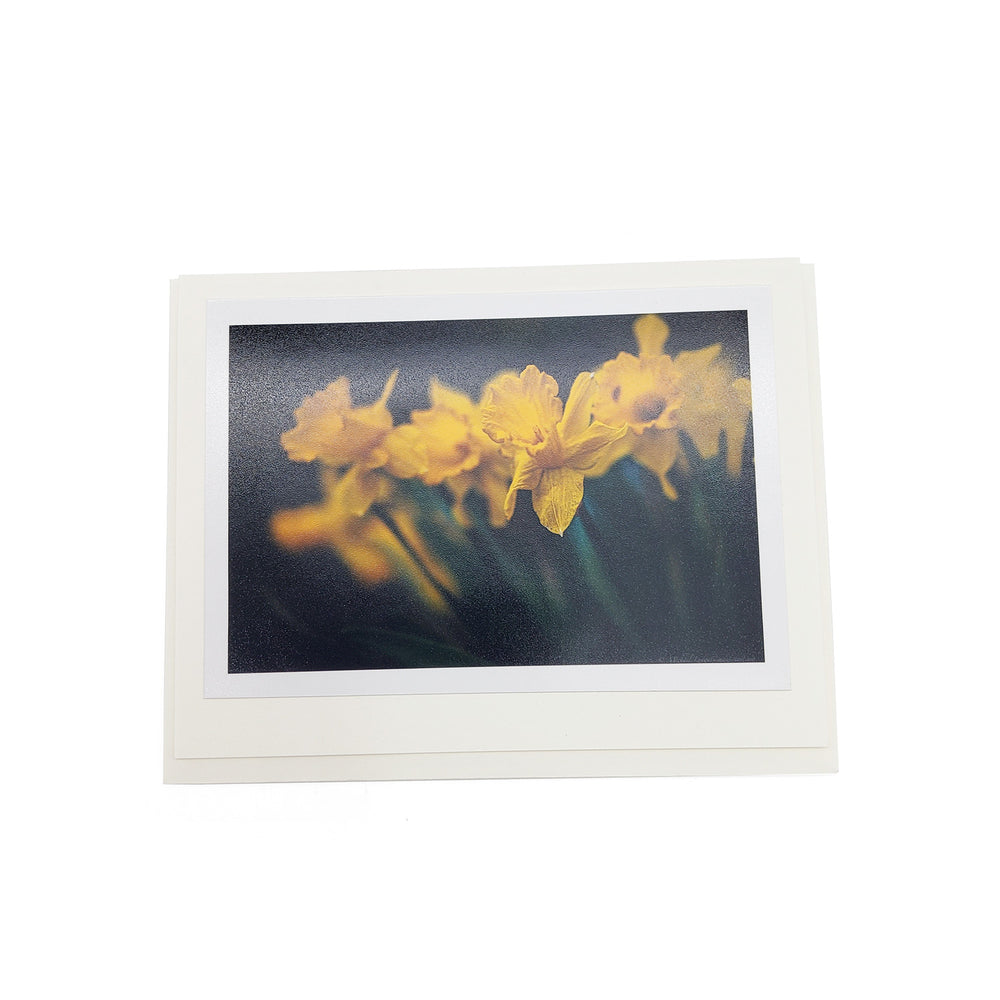 Spring Botanical Card Pack
