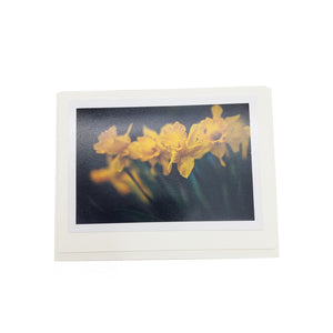 Spring Botanical Card Pack