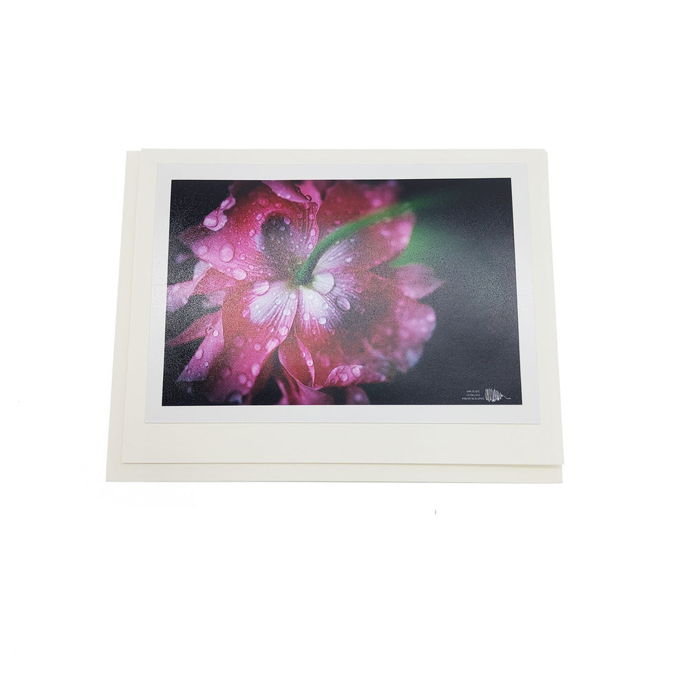 Spring Botanical Card Pack