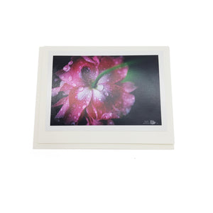 Spring Botanical Card Pack