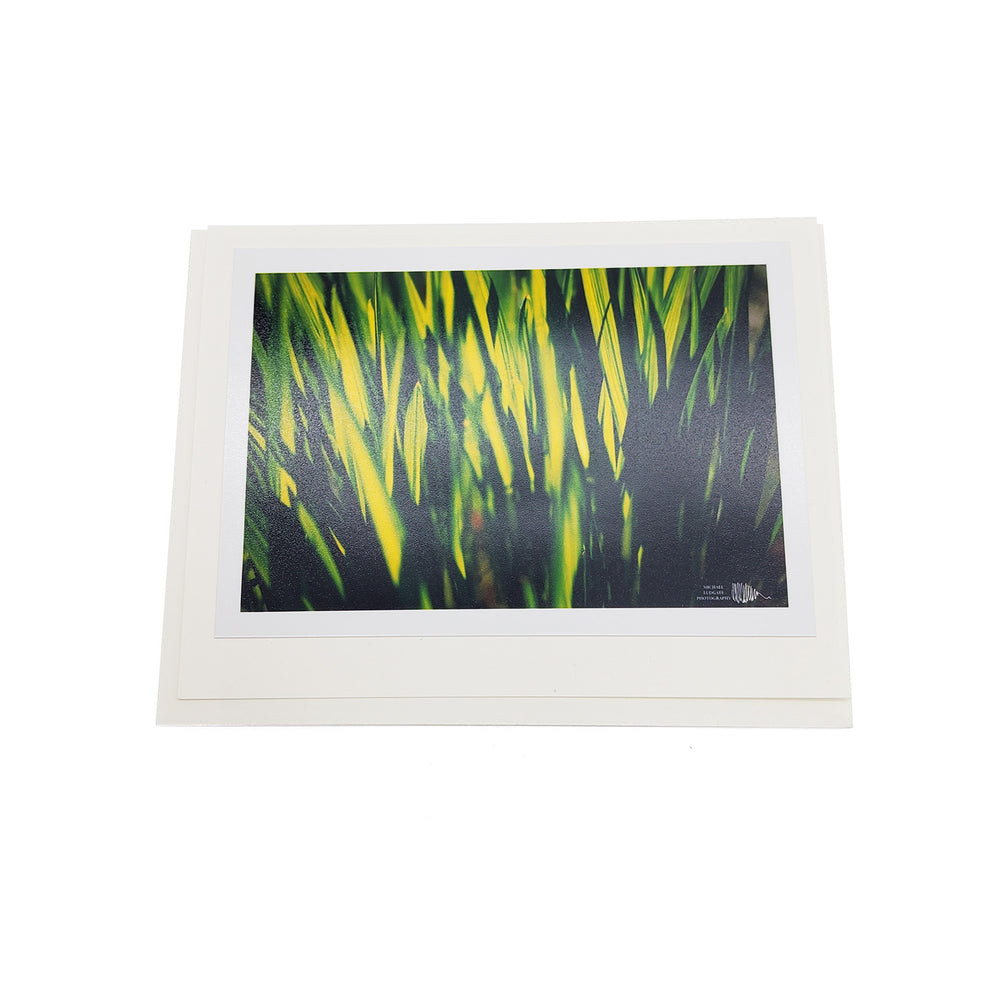 Spring Botanical Card Pack