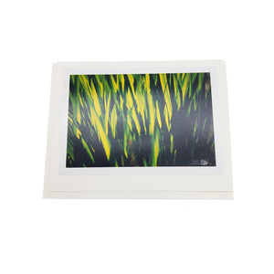 Spring Botanical Card Pack
