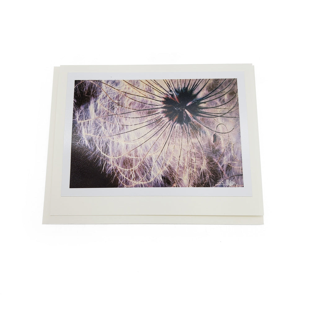 Spring Botanical Card Pack