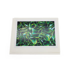 Spring Botanical Card Pack