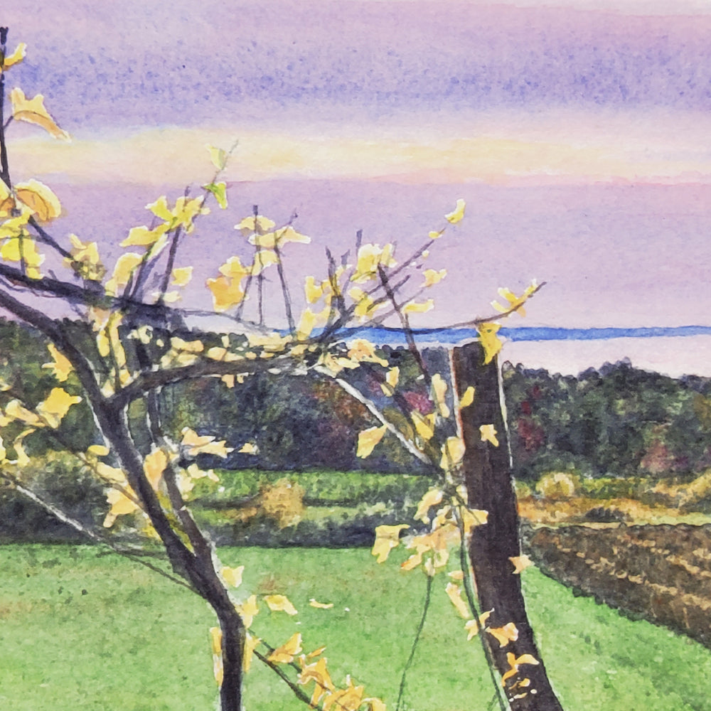 "Western Shore Harvest" Print