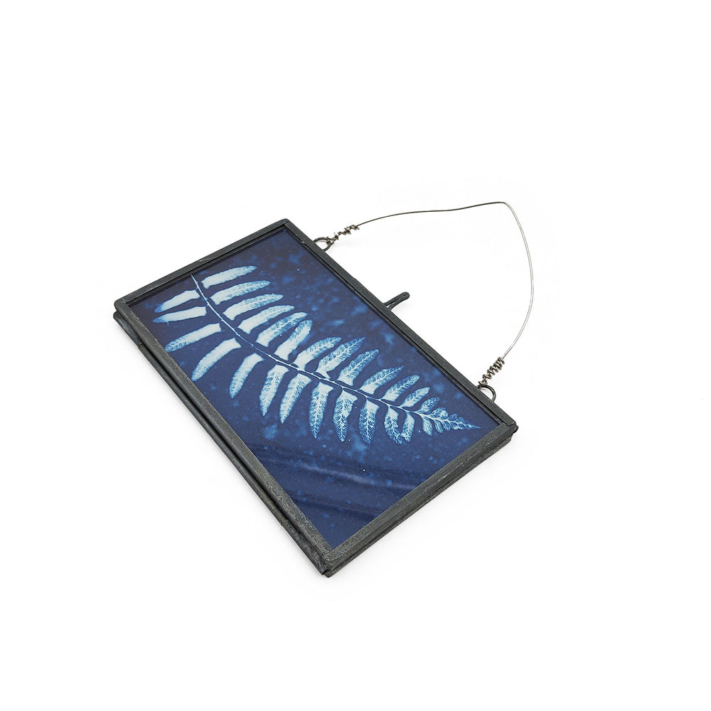Fern Framed Cynotype
