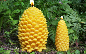 Sunbeam Candles Beeswax Large Pine Cone
