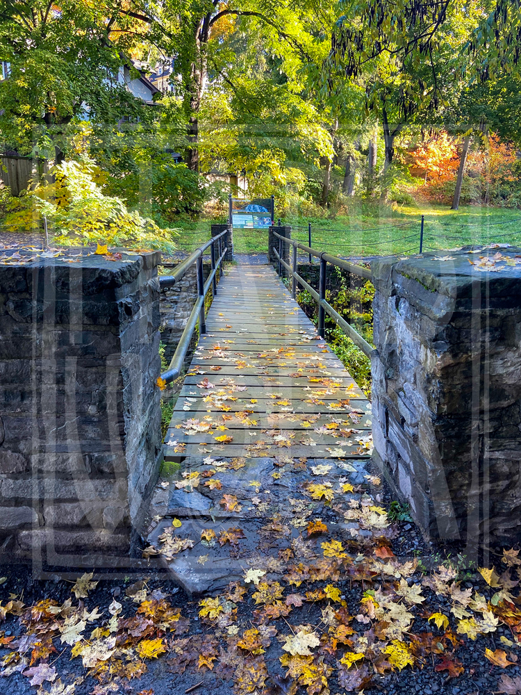 "Cascadilla Gorge Trail" Print