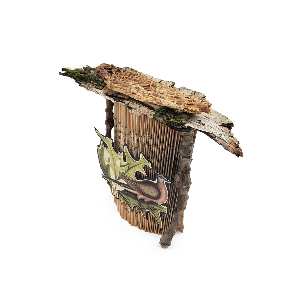 Bird Mini Book