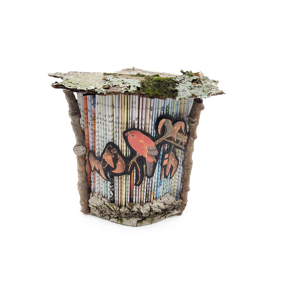 Bird Mini Book