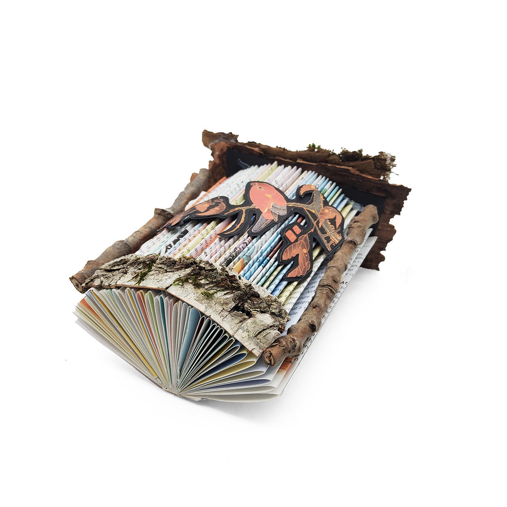 Bird Mini Book