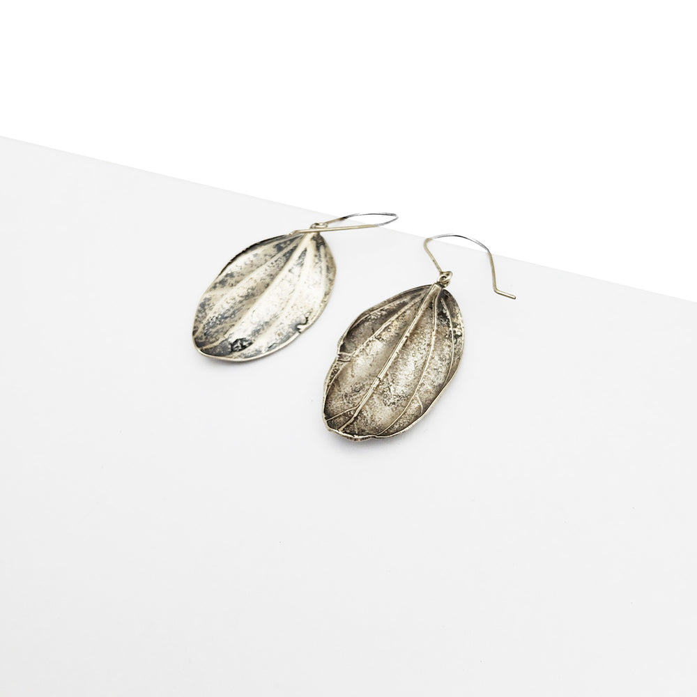 Silver Peperomla Leaf Earrings