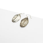 Silver Peperomla Leaf Earrings