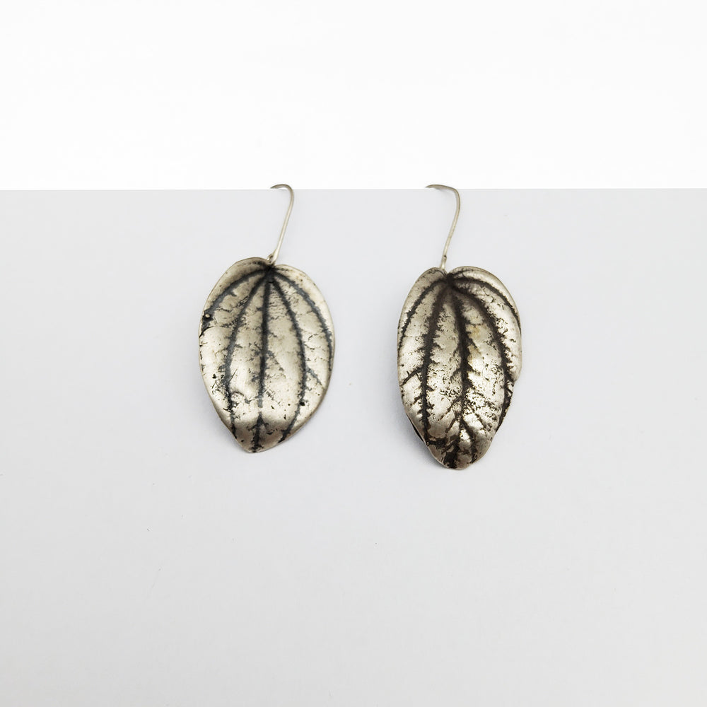 Silver Peperomla Leaf Earrings