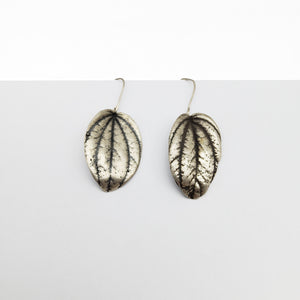 Silver Peperomla Leaf Earrings
