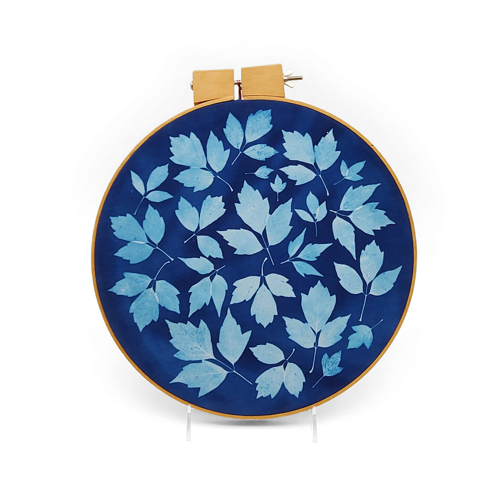 Cyanotype Box Elder 12&quot; Hoop